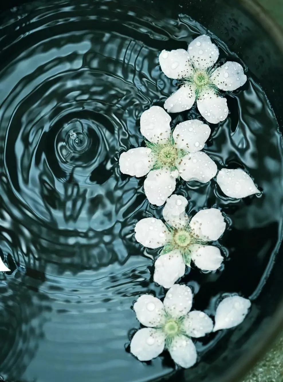 掌握这5项技巧，雨天摄影亦能惊艳朋友圈！